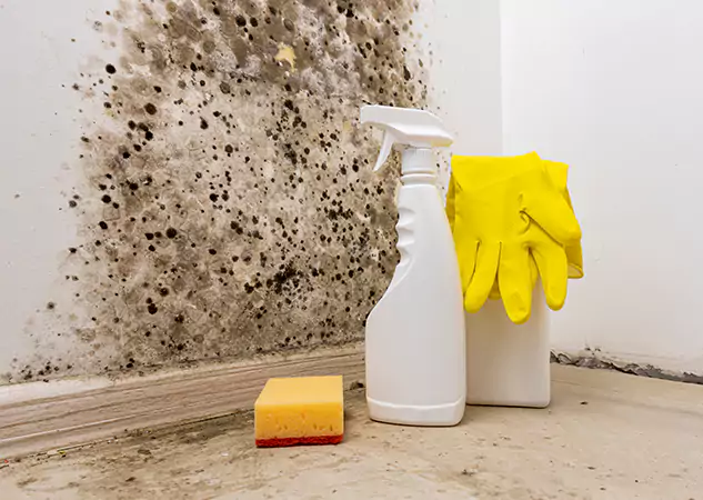 Your Reliable Restoration Company in Stone Mountain, GA