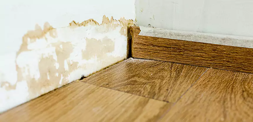 Professional Fix Water Damaged Wood Services in Stone Mountain, GA