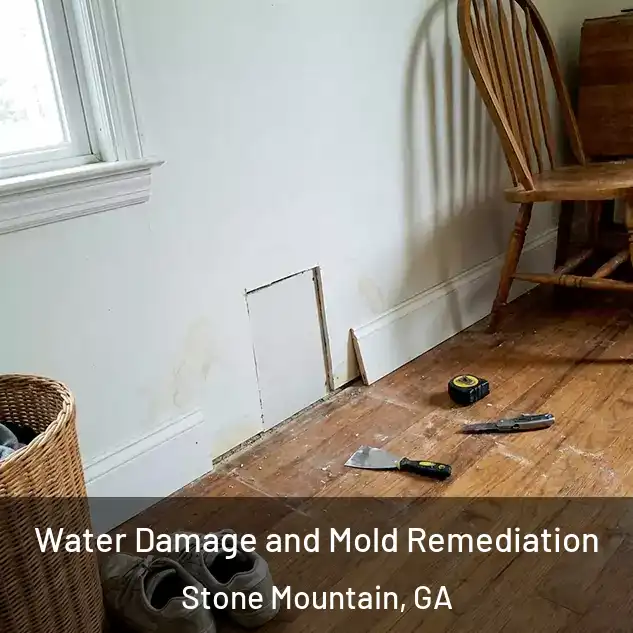  Water Damage and Mold Remediation Stone Mountain, GA
